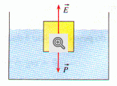 b_167_123_16777215_01_images_stories_fisica_empuxo_05.gif