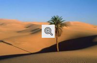 Ecossistema: Desertos